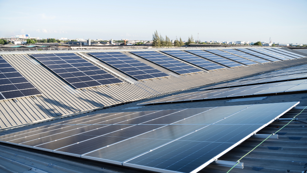 découvrez les nouvelles aides et subventions pour l'installation de panneaux solaires en 2025. profitez de conseils pratiques pour maximiser votre investissement et contribuer à une énergie durable. renseignez-vous sur les options de soutien disponibles pour transformer votre projet énergétique.